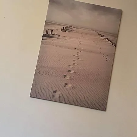 Les Pieds Dans L Eau * Erpion